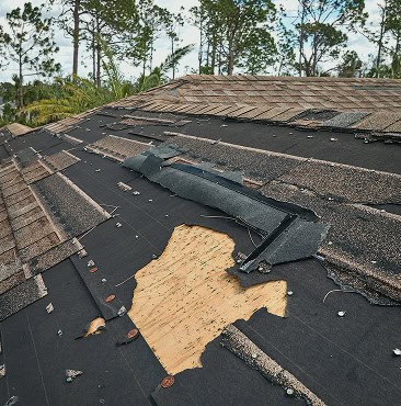 Section of a shingle roof with damaged and missing shingles, exposing the underlying wooden roof deck and underlayment. Trees and a cloudy South Carolina sky are visible in the background—perfect for Clover Roofing repairs.